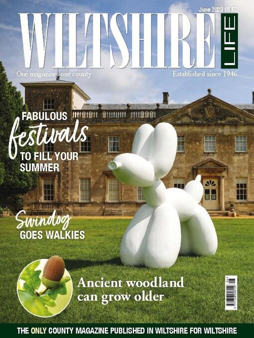 Title details for Wiltshire Life by Mark Allen Business & Leisure - Available